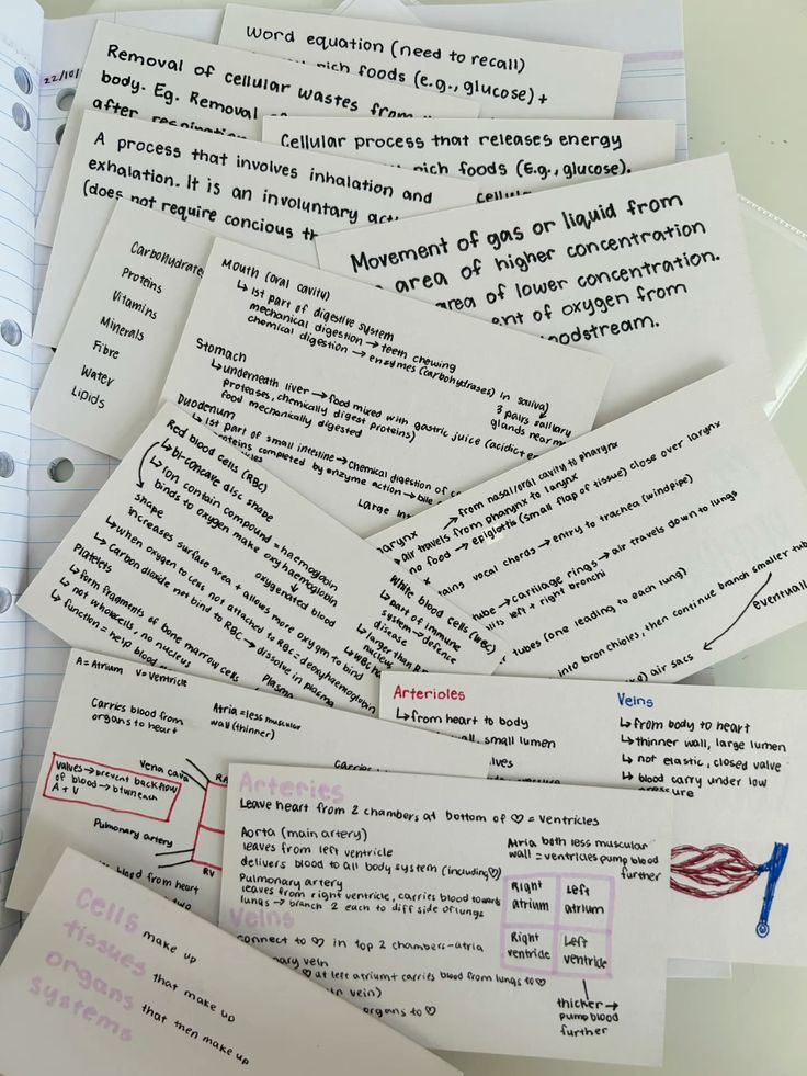 Flashcards used for Active Recall practice