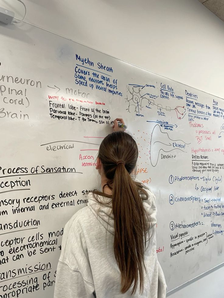 Student practicing active learning and recall while studying